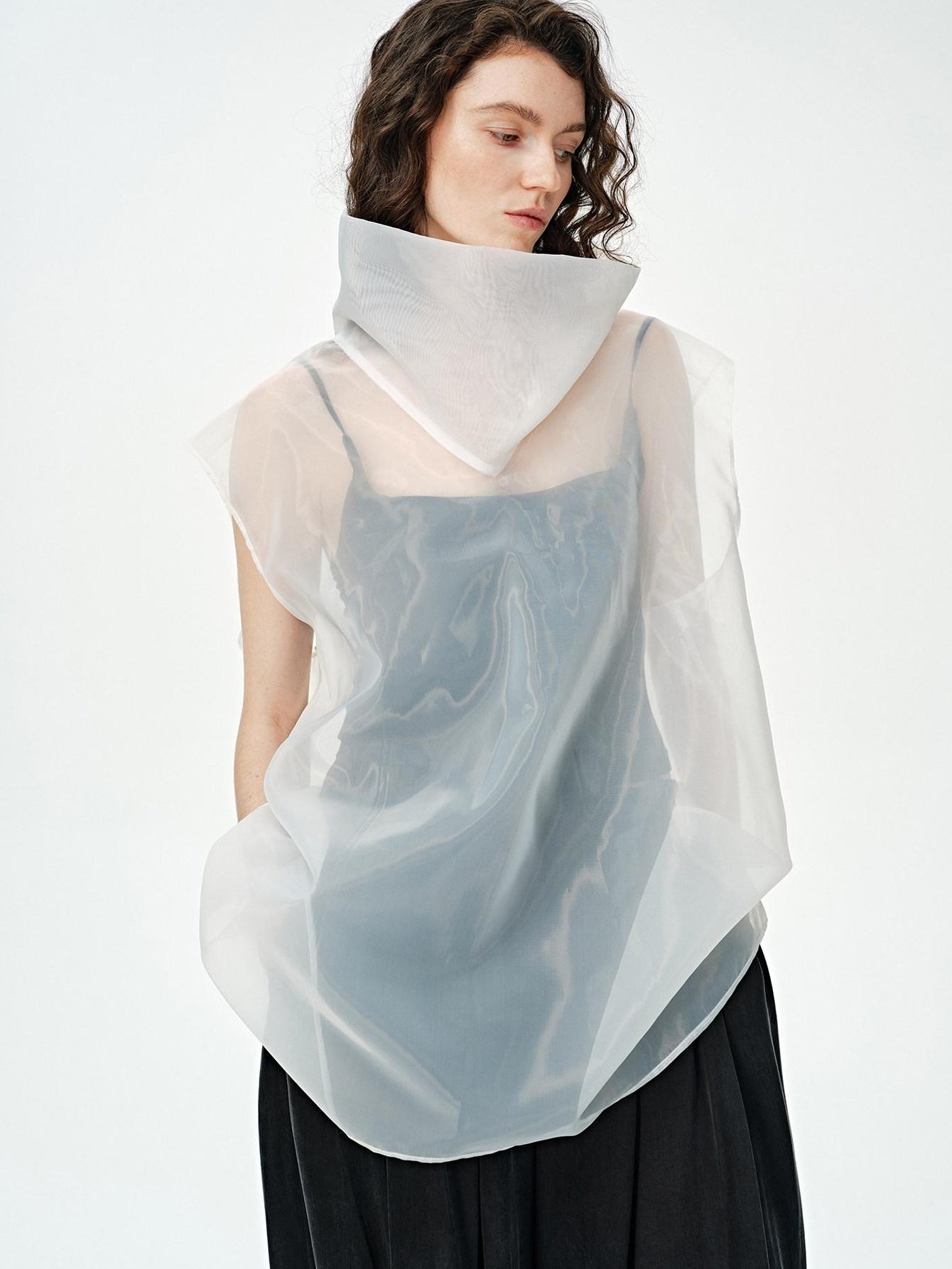 audreyyang Sheer Slimming High Neck Loose Fit Pullover Polyester Long Sleeve Crop Tops